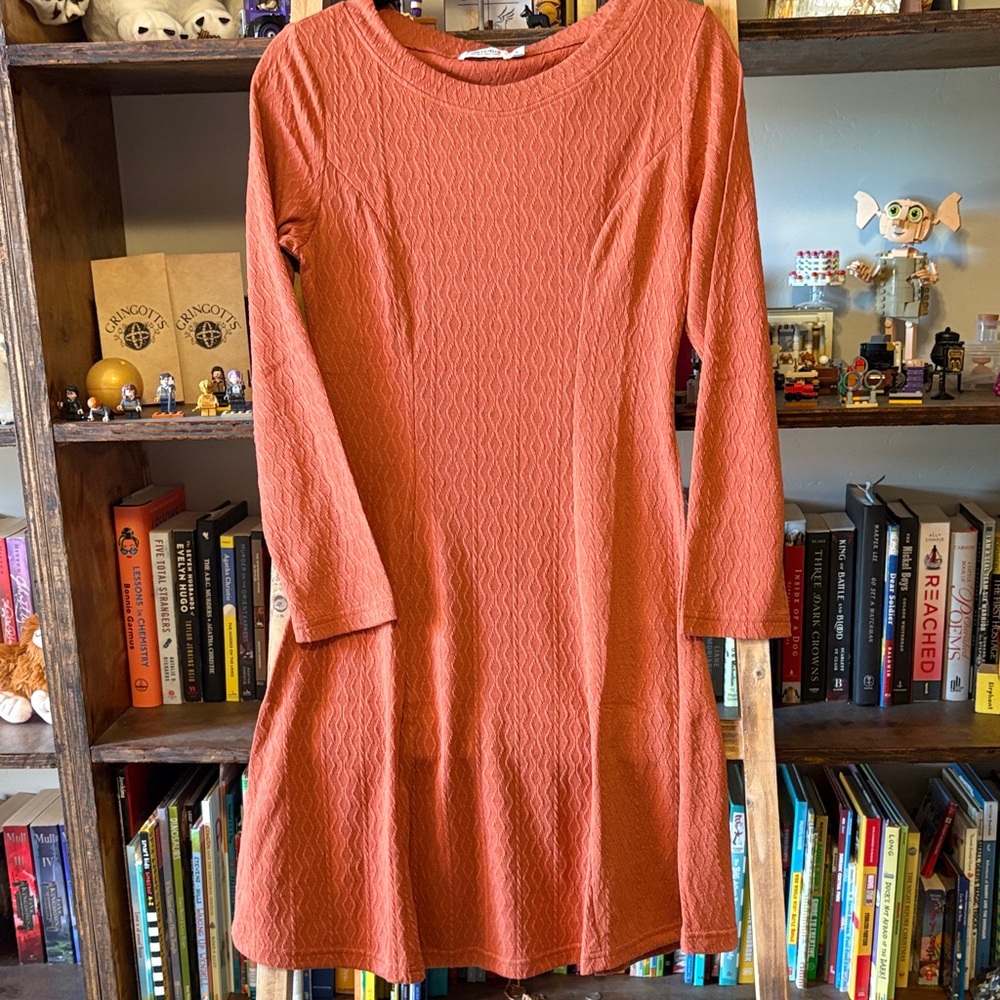 Casual Pink A-Line Long Sleeve Crew Neck Dress